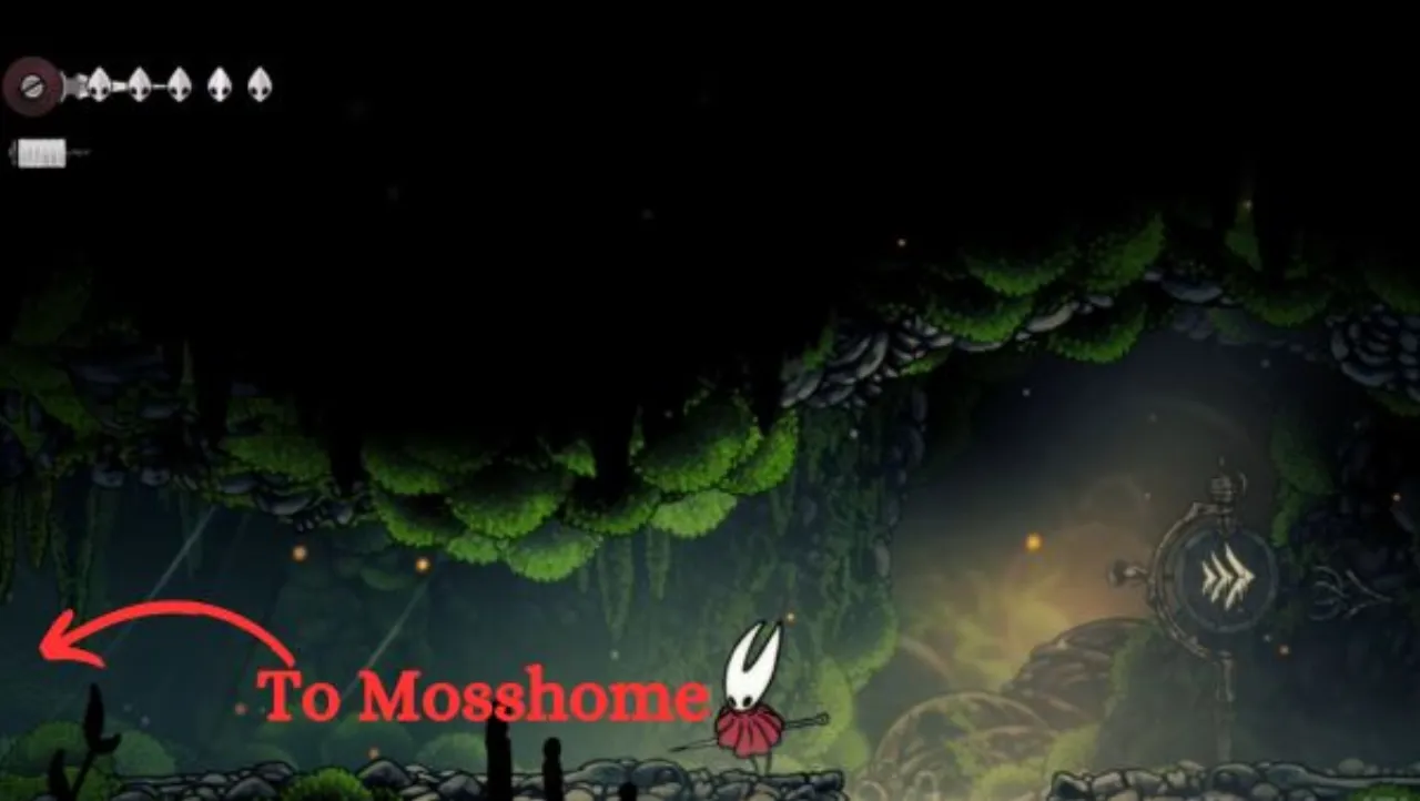 Moss Mother arena